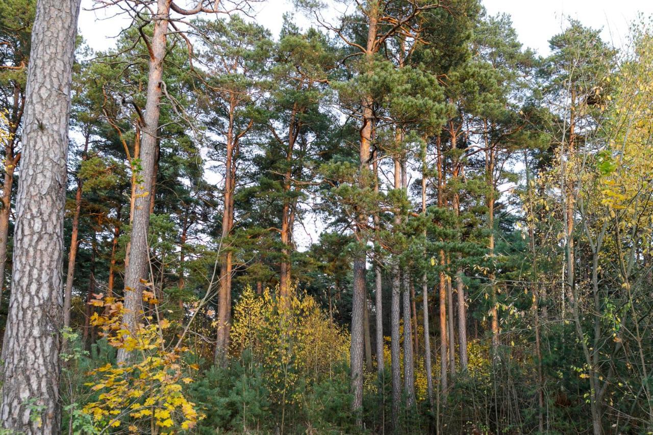 Apartmán Lat4Rest Prienai Exteriér fotografie
